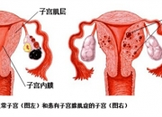 91青春娱乐-烟台京城医院看男科怎么样？烟台京城医院专业技术水平高