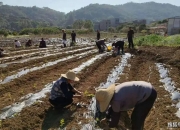 大发棋牌登录入口-广州强直专科医院刘菲医生介绍老年强直应该做哪些护理工作?