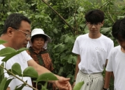 泌尿外科专家进驻潮汕医院，复杂患者就近享受三甲级专家服务