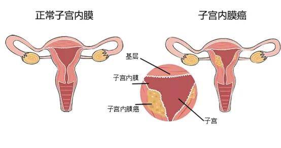 这个科室的医生，薪酬必须高于医院平均！一地卫健委新规