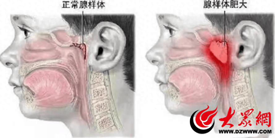 凤凰体育app官方下载-湖北武汉：准妈妈36周突发胎盘早剥，医护9分钟“抢”出宝宝